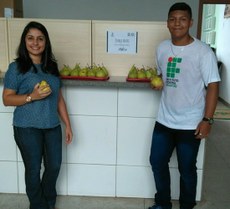 Alimentação Saudável